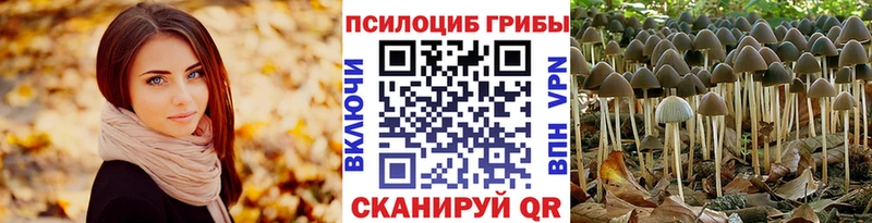 Галлюциногенные грибы ЛСД Эртиль